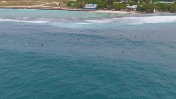 DRONE: Actieve toeristen verzamelen zich in de oceaan bij de line-up om te surfen op sommige golven. — Stockvideo