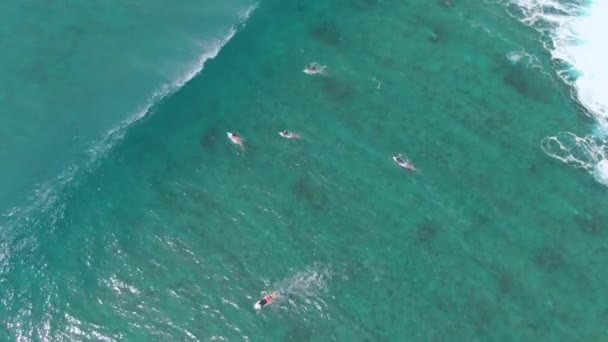 TOP DOWN: Surfistas reman hasta la fila mientras una gran ola se abre camino . — Vídeos de Stock