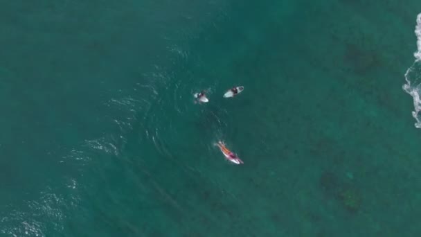 TOP DOWN: Vliegen boven een surfer vangen van een golf en rijden langs andere surfers — Stockvideo