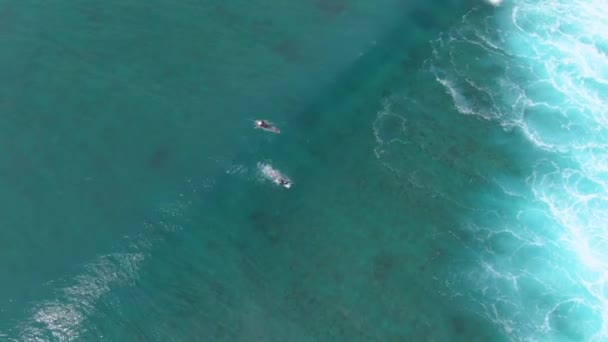 TOP DOWN: Männlicher Surfer fängt eine große Röhrenwelle, während andere zum Schlangestehen paddeln — Stockvideo