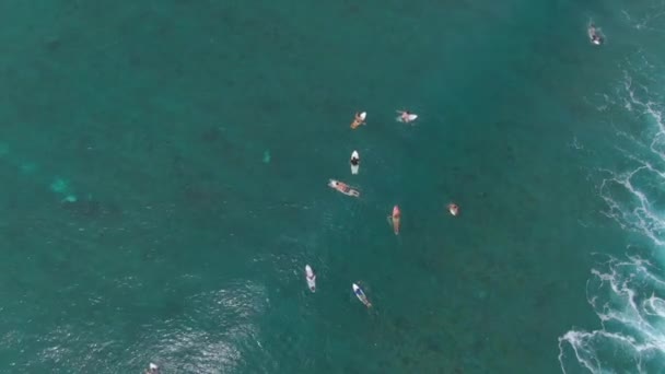 TOP DOWN: Grupa przyjaciół na wycieczce surfingowej na Malediwach wiosłują do linii — Wideo stockowe