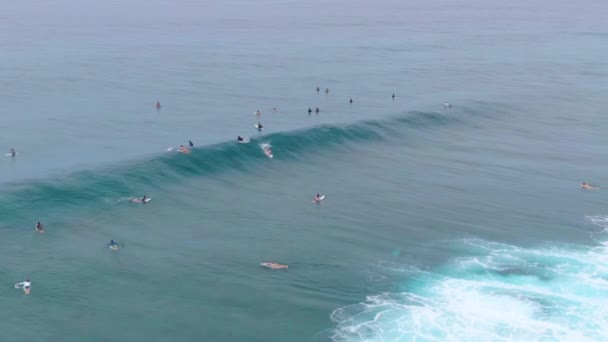 AERIAL: Surfer catches a tube wave rolling over other surfers waiting in line up — Stock Video