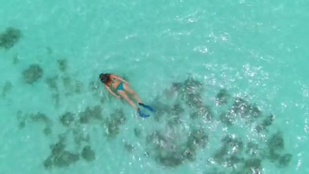 TOP DOWN: Jonge vrouwelijke toerist op vakantie in Malediven snorkelt rond de oceaan — Stockvideo