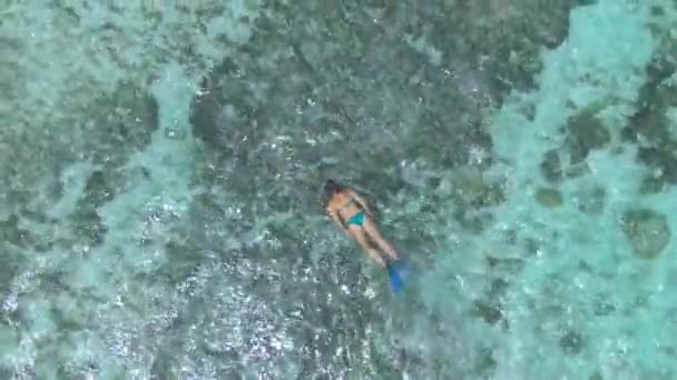 TOP DOWN: Mulher snorkels em torno de águas rasas e explora desaparecimento recife de coral. — Vídeo de Stock