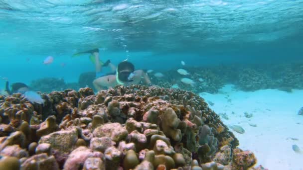 Mannen och kvinnan på semester i Maldiverna snorklar förbi en färgglad korall.. — Stockvideo