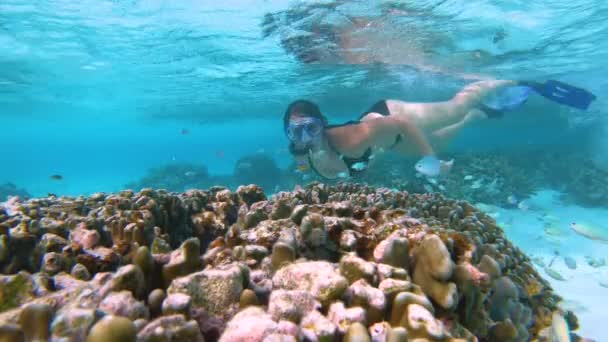 UNDERWATER: Női turista sznorkelek körül a színes korallzátony a Maldív-szigeteken. — Stock videók