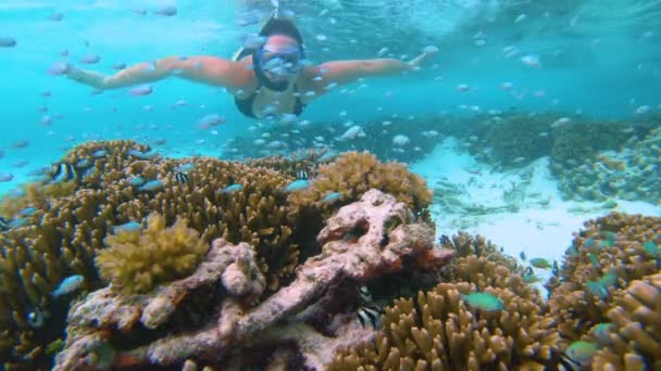 Jonge vrouw die de oceaan verkent nadert langzaam een levend koraal. — Stockvideo