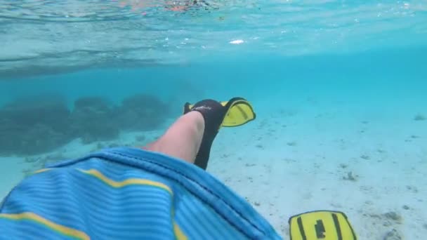 FECHAR UP: Snorkeler usando barbatanas chuta enquanto explora o oceano perto de Maldivas. — Vídeo de Stock