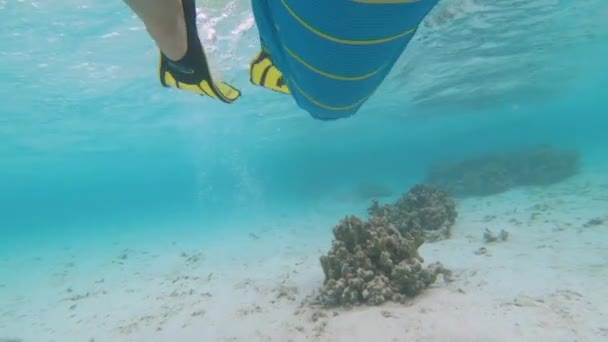 AGUA SUPERIOR: Primer plano de las piernas del hombre mientras bucea alrededor del océano escénico. — Vídeos de Stock