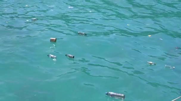ΚΛΕΙΣΙΜΟ: Κενά πλαστικά μπουκάλια επιπλέουν γύρω από τον γαλήνιο γαλαζοπράσινο ωκεανό. — Αρχείο Βίντεο