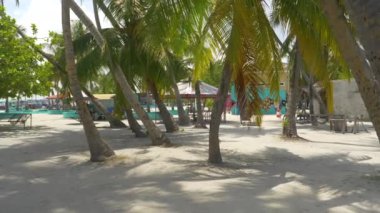 Sessiz köyün ortasındaki palmiye ağaçlarıyla dolu bir parkın rahatlatıcı manzarası.