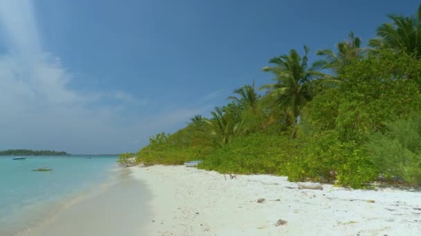 AERIAL: Prachtige witte zand en palmbomen kustlijn van een tropisch eiland. — Stockvideo