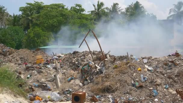 ヤシに囲まれた大きな中庭では、地元の人たちがプラスチックごみを燃やしています。 — ストック動画