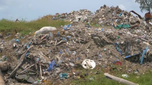 CLOSE UP: Högar av bränd plast ligger nära en tropisk skog på avlägsen ö. — Stockvideo