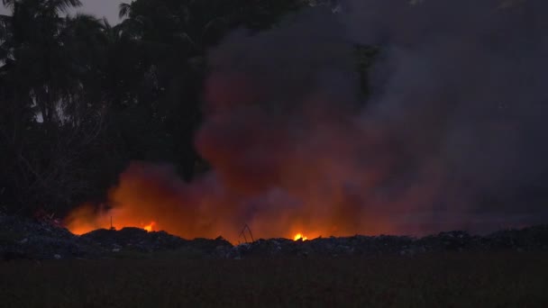 Flames and white smoke rise from a landfill burning garbage late in the evening. — Stock Video