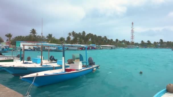 STÄNGA UPP: Båtar förtöjda i en tropisk hamn sten som en rasande storm närmar sig. — Stockvideo