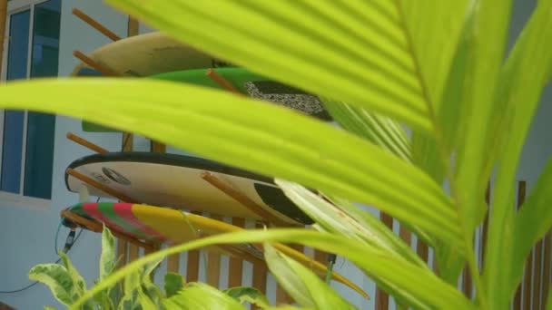 CERRAR: Tablas de surf de colores se colocan en estante de tabla de surf de madera en el patio vacío — Vídeos de Stock