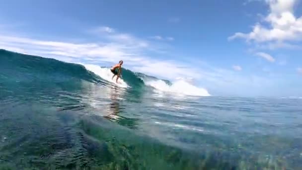 ZAMKNIJ SIĘ: Fajny surfer koleś jeździ krystalicznie czystej fali oceanu do tropikalnej wyspy — Wideo stockowe