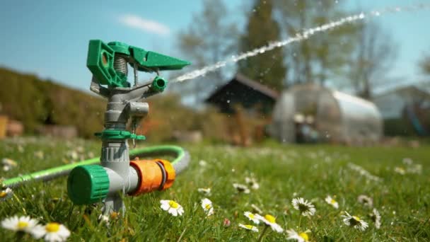 FECHAR UP: Sistema de irrigação pulveriza um prado florescente com água da chuva refrescante. — Vídeo de Stock