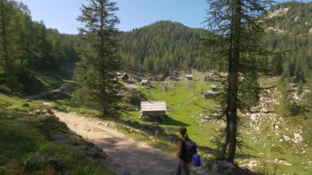 年轻的女旅行家沿着风景秀丽的小径徒步旅行，可以看到特里格拉夫. — 图库视频影像