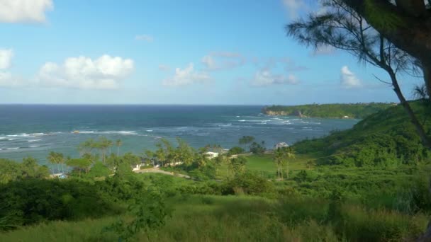 Pittoresk utsikt över Barbados karga strandlinje täckt av frodig vegetation — Stockvideo