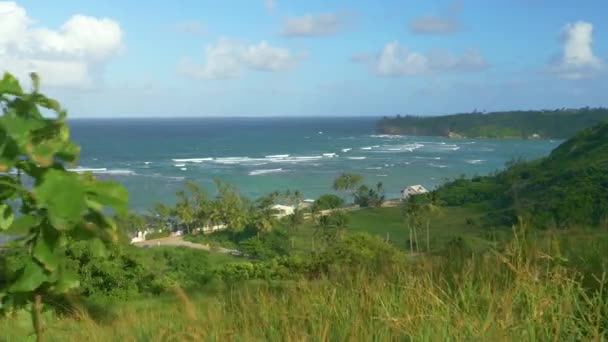 Oceanfront houses of a tourist village in Barbados face ocean full of waves — Stock Video