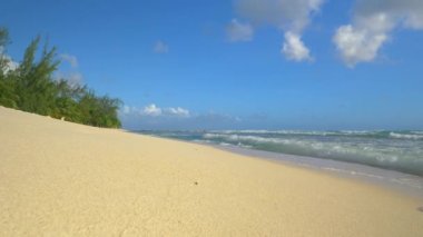 Köpüklü dalgalar, egzotik bir plajın beyaz kumsalını süpürüyor..