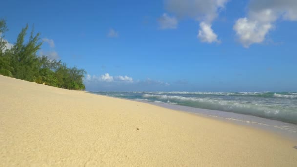 NAJNOWY Kąt: Piankowa fala zamiata białą piaszczystą plażę egzotycznej plaży. — Wideo stockowe