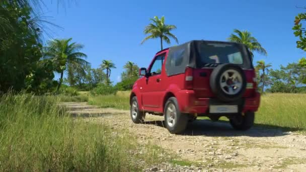 ÁNGULO BAJO: Red Suzuki Jimmy conduce por carretera de grava corriendo a través del parque exótico — Vídeo de stock