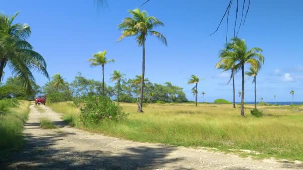 Jeep rojo cruza por un sendero pintoresco que conduce a lo largo de una costa exótica en el Caribe — Vídeo de stock