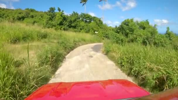 POV: Pittoresk shot van weelderige exotische vegetatie tijdens het rijden over Barbados — Stockvideo