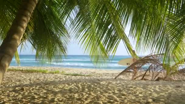 Joven turista lleva su tabla de surf a lo largo de una idílica playa tropical. — Vídeos de Stock