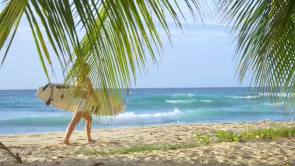 FERMER : Une jeune surfeuse porte sa planche de surf le long du rivage sablonneux — Video