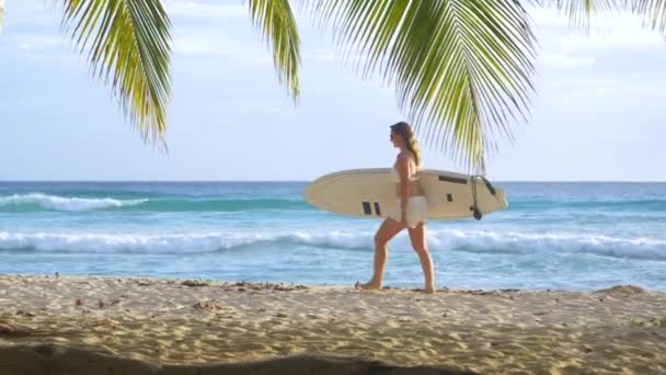 FECHAR UP: Ajuste-se a menina surfista caucasiana caminha ao longo da praia tropical cênica . — Vídeo de Stock