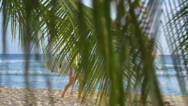 SLOW MOTION : Surfeur porte sa planche de surf le long de la plage tropicale par une matinée ensoleillée — Video