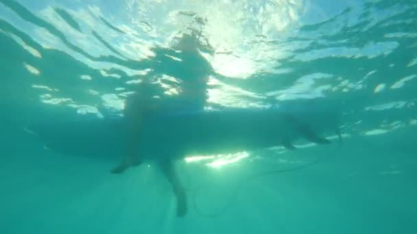 AGUA UNDERWATER: Surfista femenina irreconocible se sienta en su longboard en línea . — Vídeo de stock