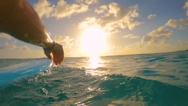 CERRAR: Foto cinematográfica de surfista femenina en forma remando hacia el atardecer . — Vídeos de Stock