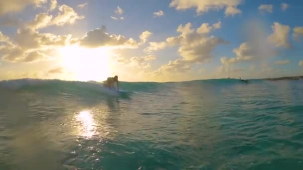 SLOW MOTION: Frau lernt im Urlaub auf Barbados an einem sonnigen Abend das Surfen. — Stockvideo