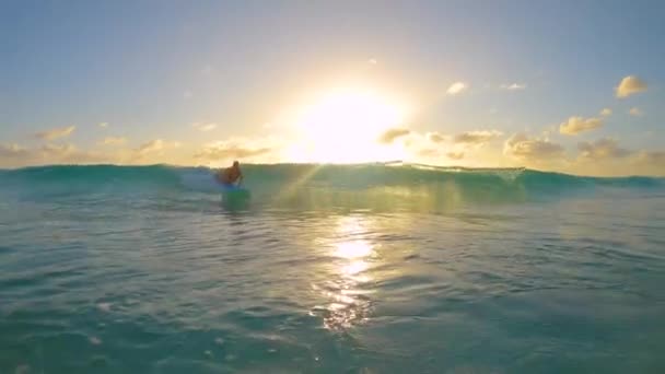 LENS FLARE: Cinematic shot of female beginner surfer riding a wave to the coast. — Stock Video