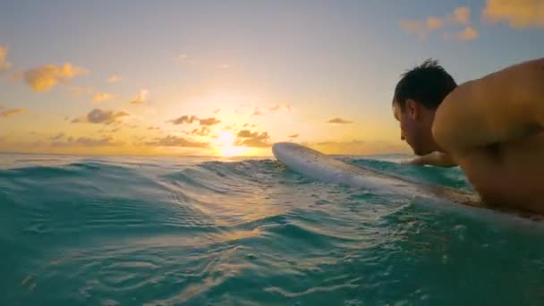 CLOSE UP: Filmaufnahme eines fitten männlichen Surfers, der dem Sonnenuntergang entgegen paddelt. — Stockvideo