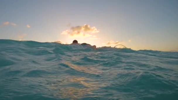 De mens peddelt naar de open zee om te surfen op de laatste golf van de dag.. — Stockvideo