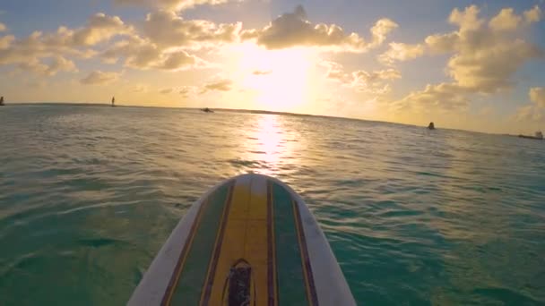 POV: Surfer κάθεται στη σανίδα του σερφ και περιμένει για τα κύματα σε ένα ηλιόλουστο καλοκαιρινό βράδυ. — Αρχείο Βίντεο