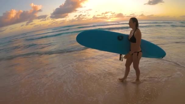 SLOW MOTION: Jonge vrouw op surftocht in Barbados wandelingen langs het strand bij zonsondergang — Stockvideo