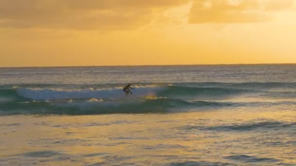 Surfista jovem monta uma onda em uma pitoresca noite de verão em Barbados cênica . — Vídeo de Stock