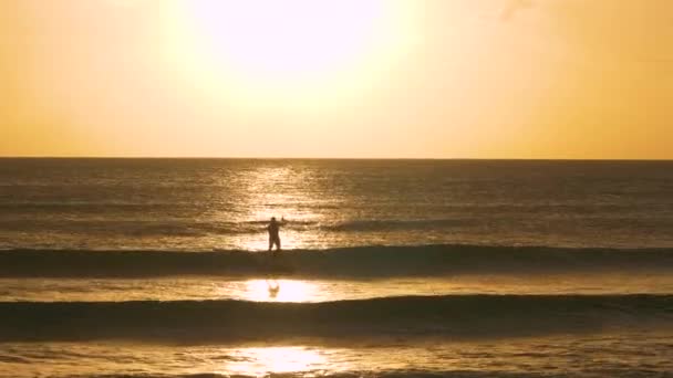 SILHOUETTEスタンドアップパドラーは日没時にバルバドスの海岸に小さな波に乗る — ストック動画