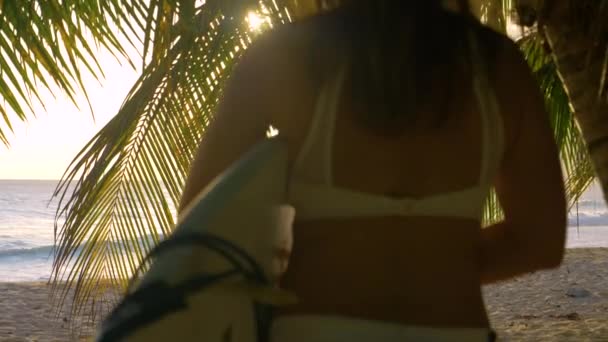 CLOSE UP: Oigenkännlig kvinnlig surfare beger sig ut till stranden vid gyllene solnedgång. — Stockvideo
