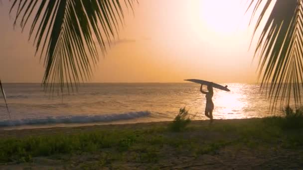Kadın turist, kafasında sörf tahtasıyla güneşli sahil boyunca yürüyor. — Stok video