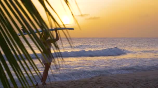 SLOW MOTION: Onherkenbare vrouw draagt een surfplank op haar hoofd bij zonsondergang. — Stockvideo