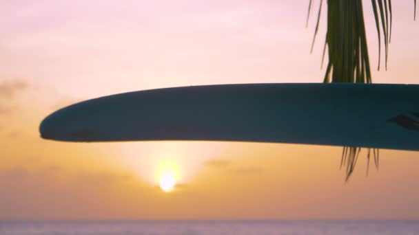 CERRAR: Joven mujer caucásica lleva una tabla de surf en la cabeza al atardecer . — Vídeo de stock