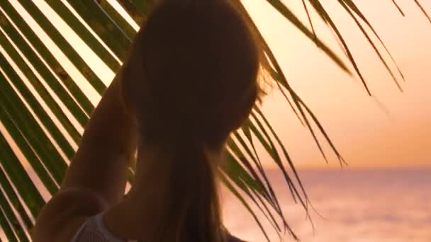 AFSLUITEN: Palmboombladeren belemmeren het uitzicht van een vrouw die naar het strand loopt — Stockvideo